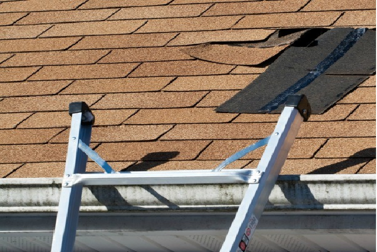 How To Find The Best Roof Ladder That Can Help You In Your Work