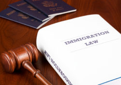 Immigration attorneys and accident attorneys