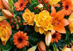 Order Fresh Flowers for the Funerals Online