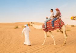 Costs Of A Dubai Desert Safari Trip