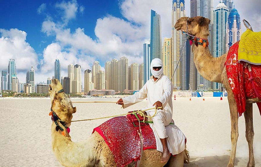 Dubai Camel Riding