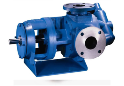 Rotary gear pumps
